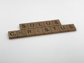 Brown Wooden Blocks on White Surface