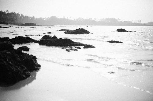 바다, 바위, 블랙 앤 화이트의 무료 스톡 사진