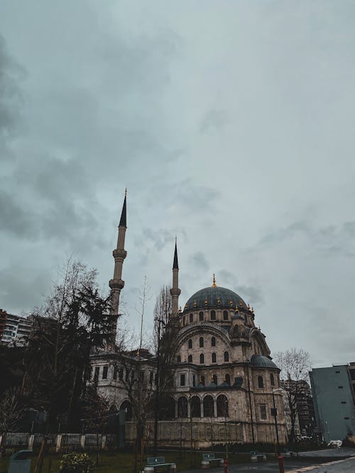 Ilmainen kuvapankkikuva tunnisteilla arkkitehtuuri, harmaa taivas, Istanbul