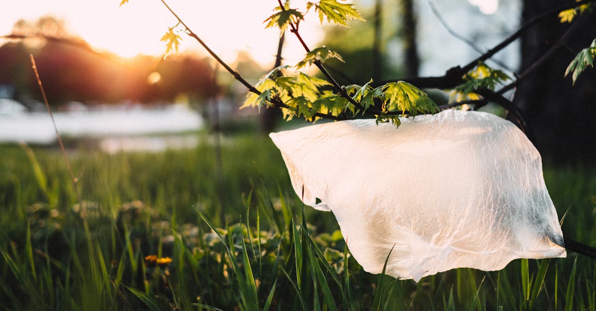 Why is biodegradable materials research gaining commercial interest? Why is biodegradable materials research gaining commercial interest?