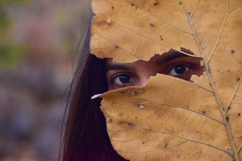 Close-Up Shot of a Woman Covering Her Face with a Dry Leaf