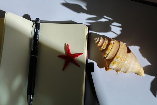 Brown Seashell on White Table