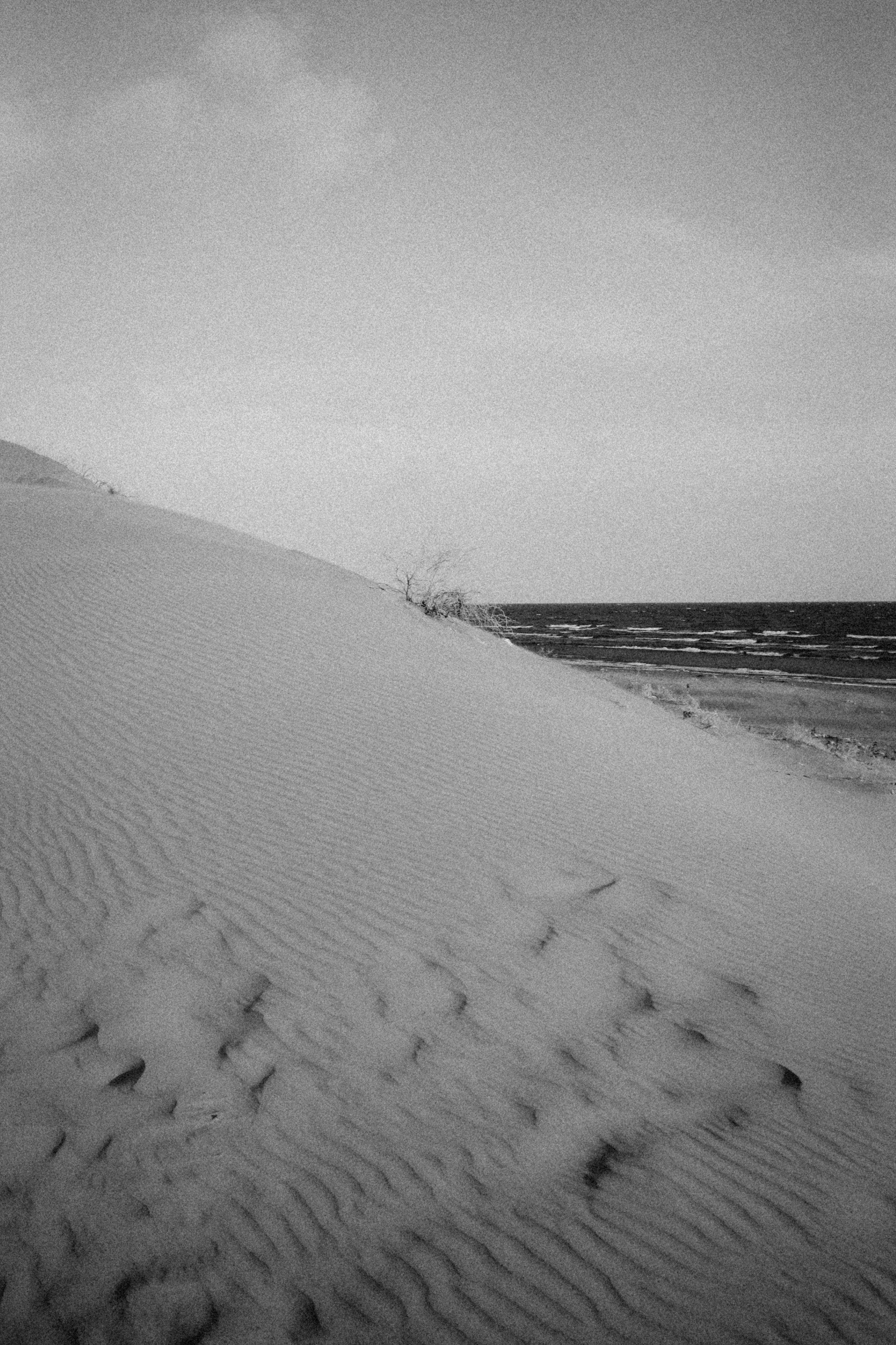 dunes on sand