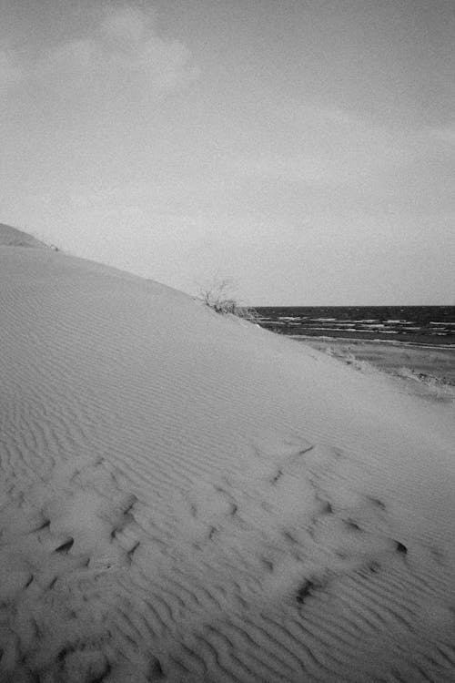 Gratuit Imagine de stoc gratuită din alb-negru, dune, faleză Fotografie de stoc