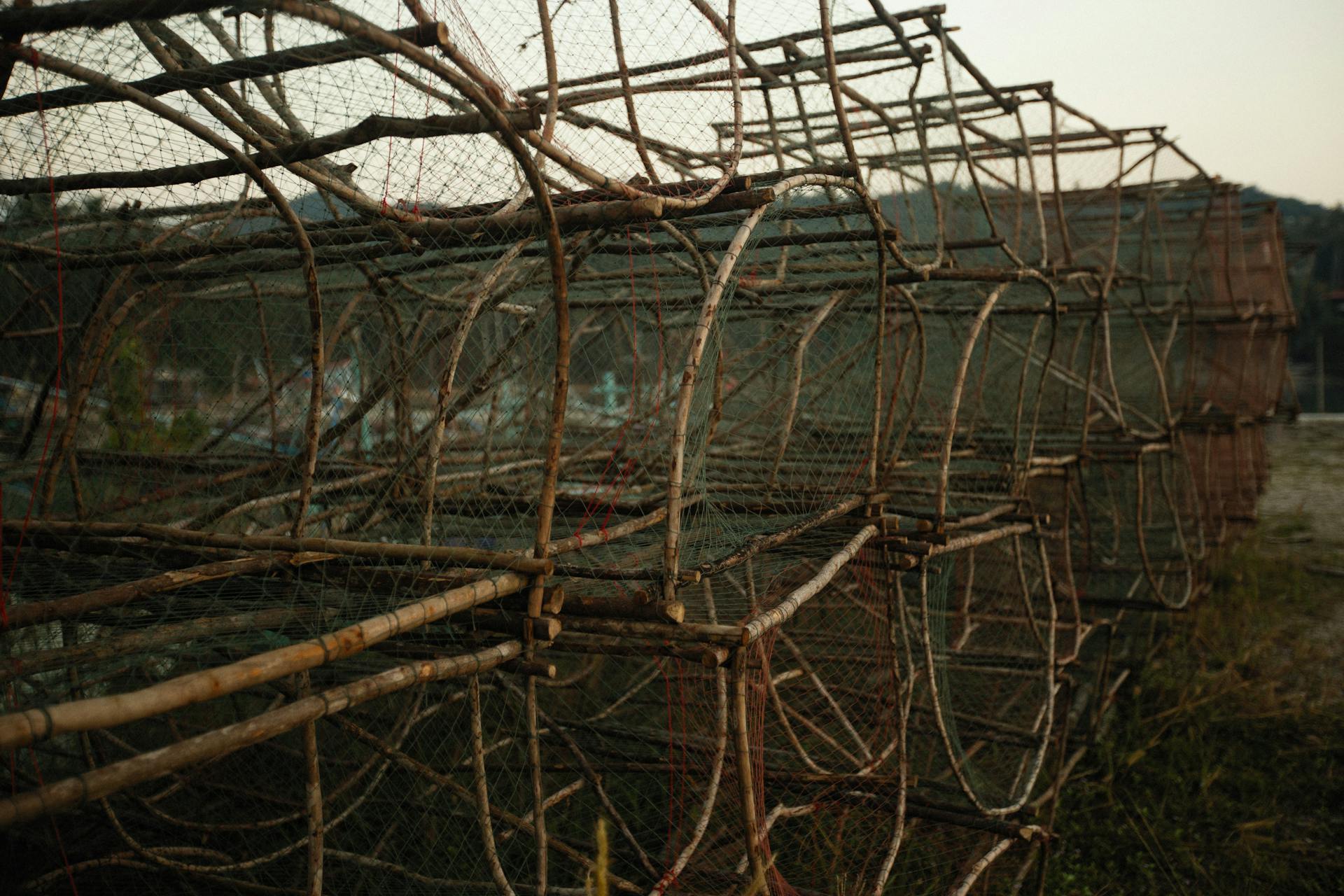 Close-up of traditional stacked wooden lobster traps on the shore at sunset.