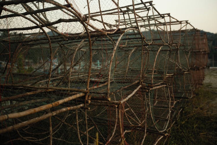 Stacks Of Lobster Pots