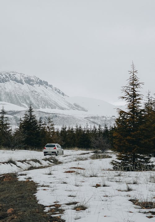 Immagine gratuita di auto, inverno, montagna