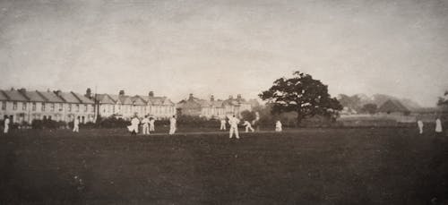 Sportsmen On A Cricket Field