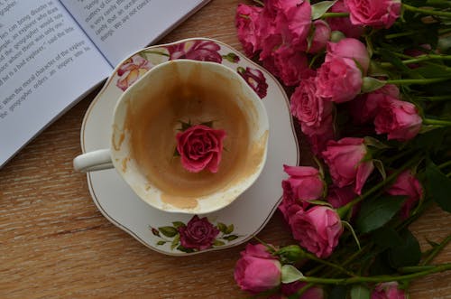 Základová fotografie zdarma na téma káva, kniha, květiny