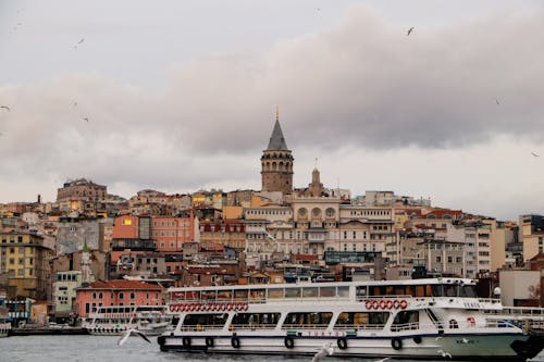 Birds Flying above the City of Istanbul