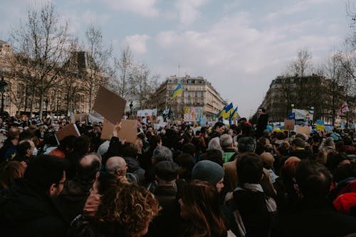 Ingyenes stockfotó aktivisták, aktivizmus, demokrácia témában