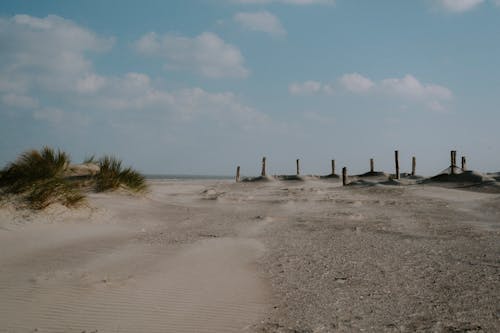 Beach against a Cloudy Sky 