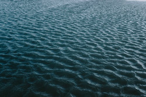 dalga, deniz, h2o içeren Ücretsiz stok fotoğraf