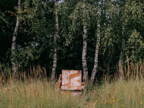 Free Abandoned armchair set against the serene backdrop of birch trees and tall grasses. Stock Photo
