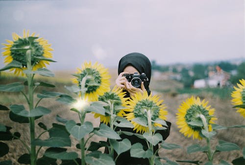 A Person Wearing a Black Hajib Holding a Camera in a Field of Sunflower