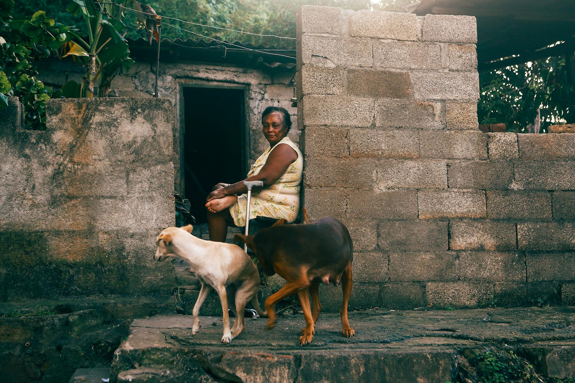 Elderly Woman Looking at Her Pet Dogs