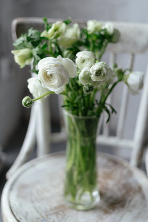 Persian Buttercup in a Glass Vase 