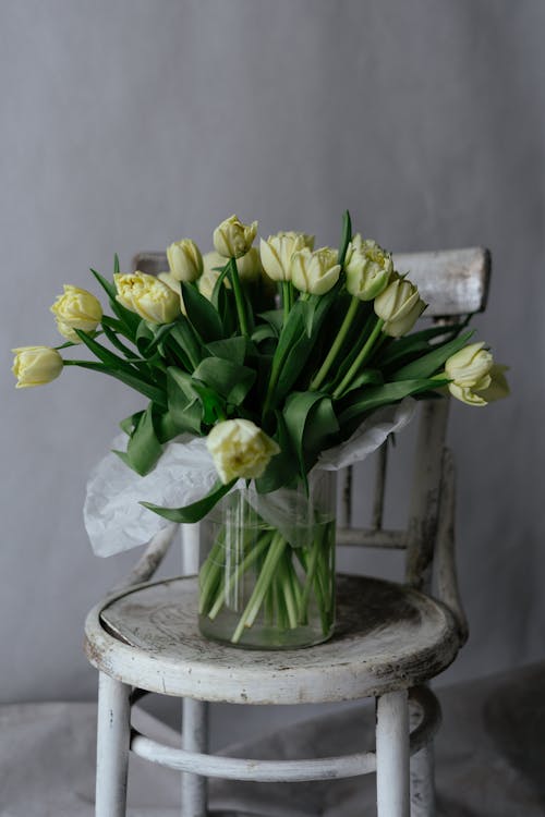 Bouquet of Tulips in Vase on Chair