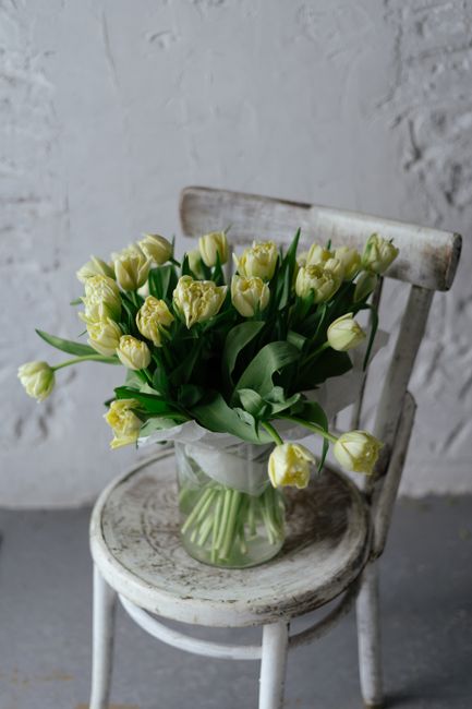 Yellow tulip bouquet in glass vase placed on rustic white chair indoors.