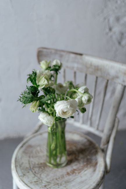 Charming white Persian buttercups in a glass vase on a vintage chair, creating a serene and rustic aesthetic.