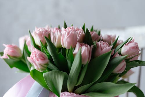 Tulip Flowers Bouquet