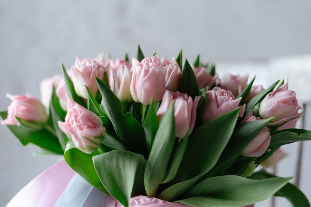 Soft pink flower bouquet in a white ceramic vase