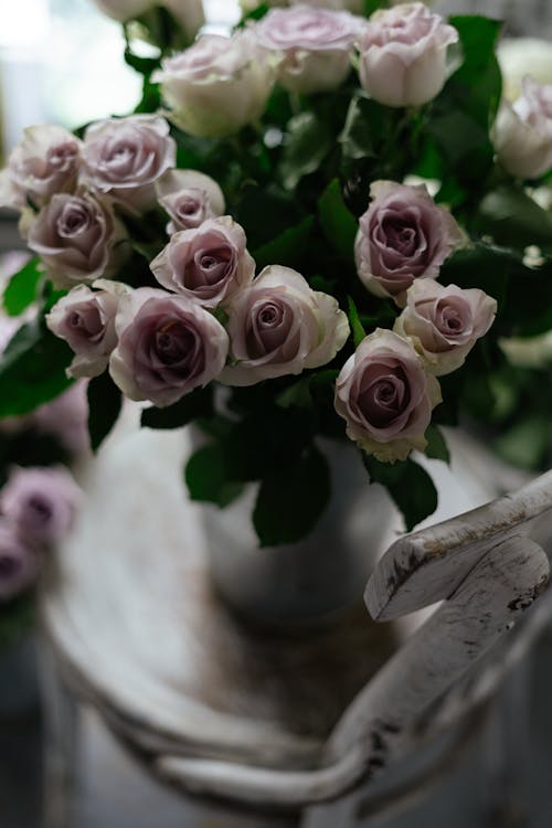 浪漫的, 漂亮, 綻放的花朵 的 免費圖庫相片