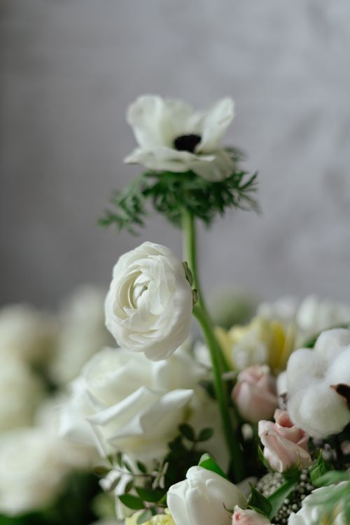 Free Elegant white floral bouquet with roses and anemones, perfect for weddings. Delicate and decorative arrangement. Stock Photo