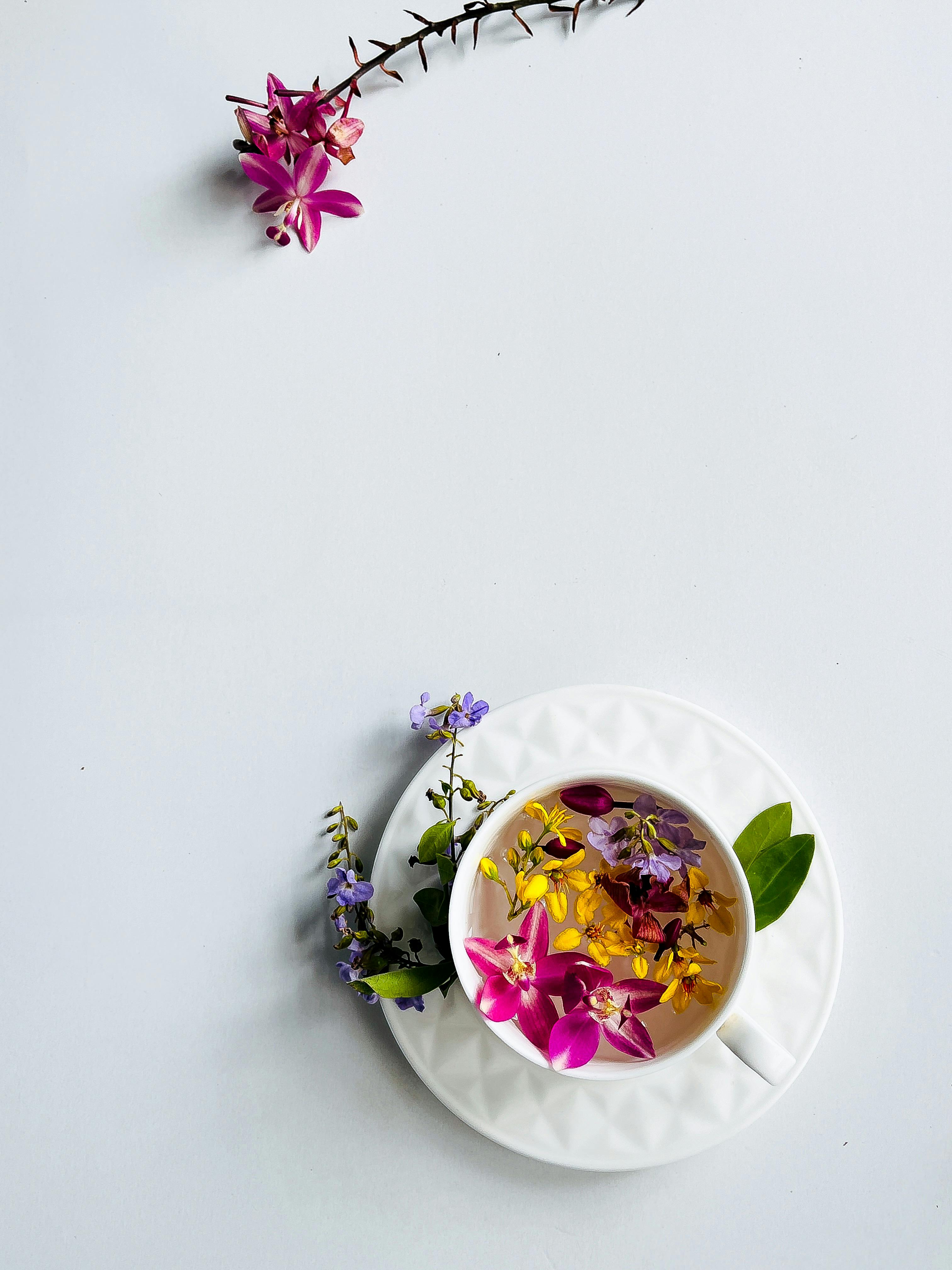 Aesthetic overhead view of floral tea with vibrant orchids in a white cup on a minimalist background.
