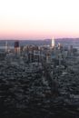 View on Big Modern City and Suburbs