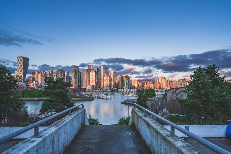 False Creek View