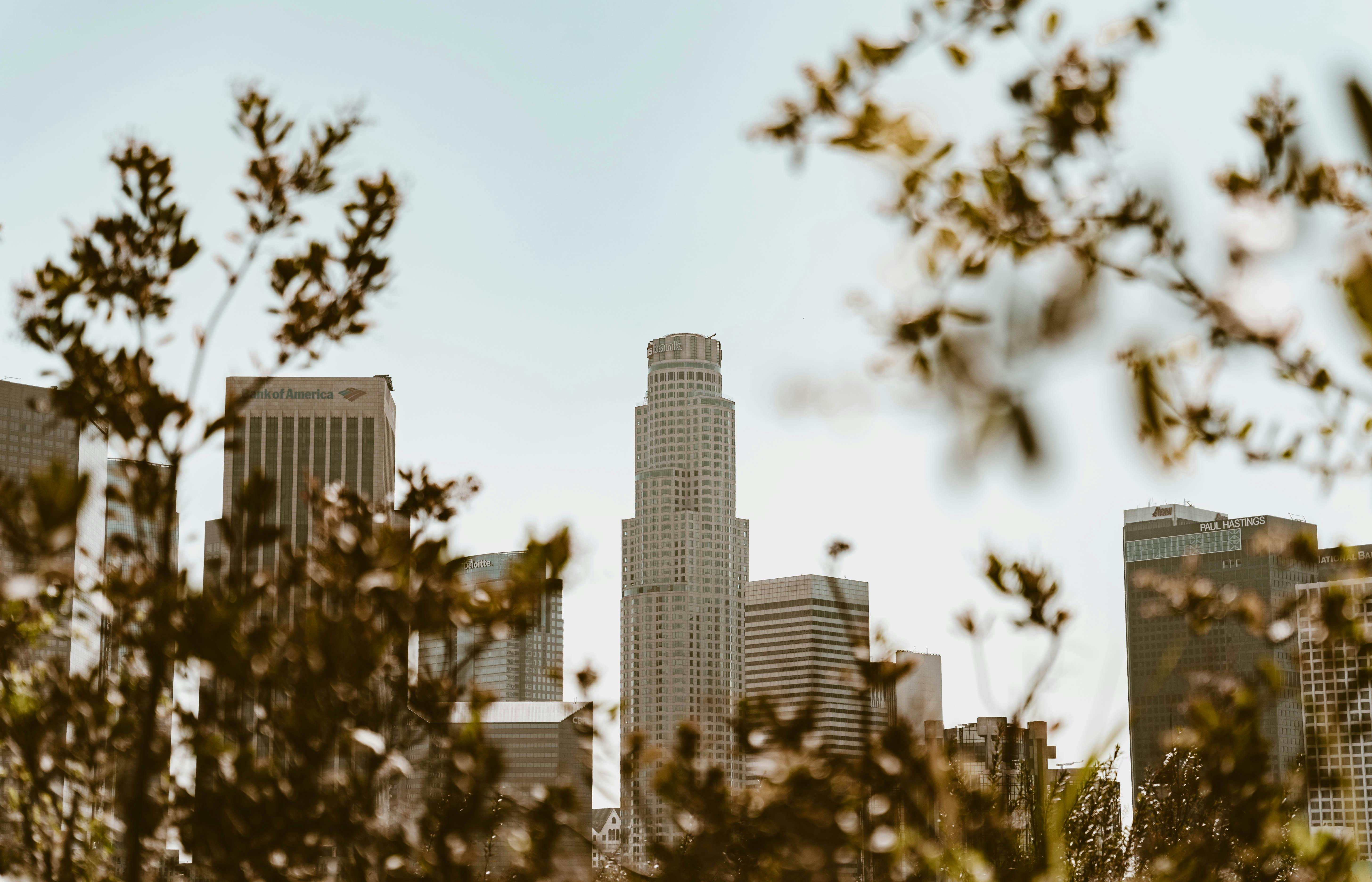 skyscrapers in downtown