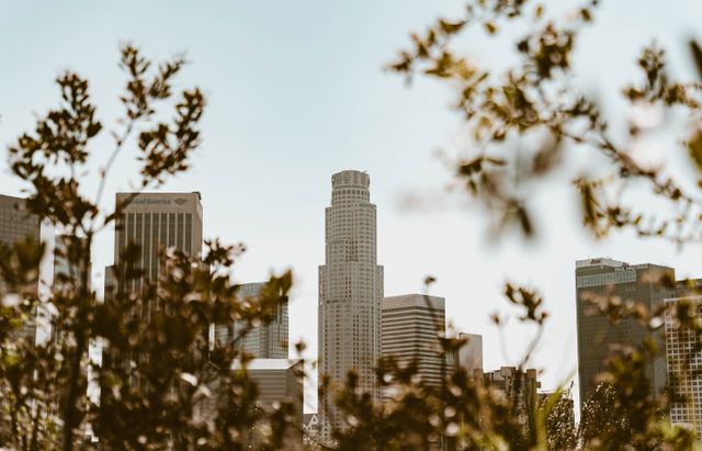 Photo by Jem Perez on Pexels Photo by Jem Perez on Pexels