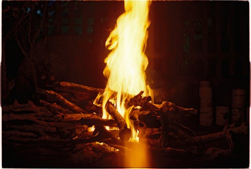 Základová fotografie zdarma na téma oheň, táborák