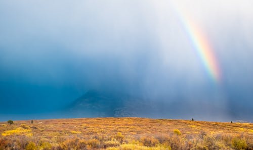 Free Rainbows over the Grass Field Stock Photo