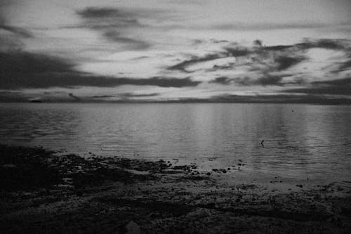 Fotos de stock gratuitas de blanco y negro, cuerpo de agua, escala de grises