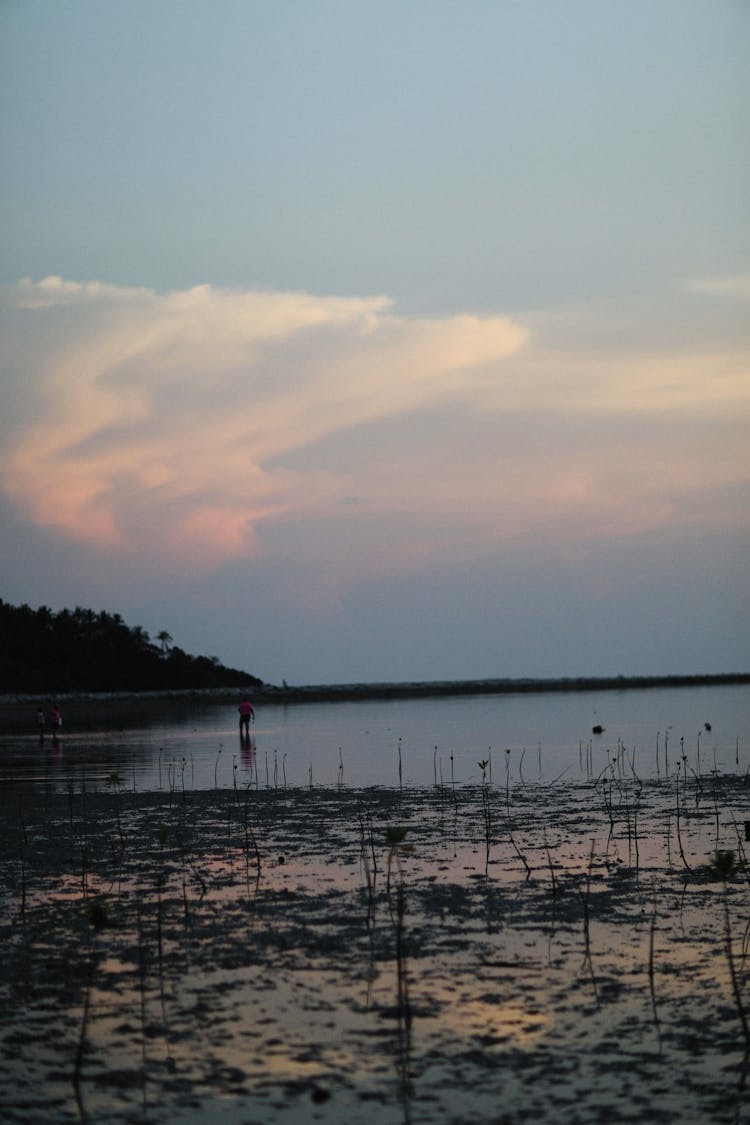 People At The Beach At Sunset