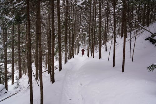 Back View of a Person Walking on Snow Covered Ground