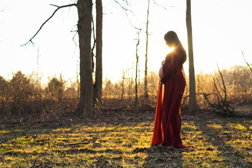 Free Woman in Red Dress Standing on Forest Stock Photo