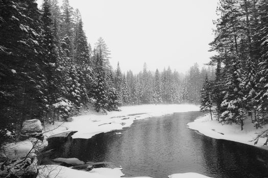 Black and white image of a river winding through a snowy winter forest, capturing nature's tranquility.