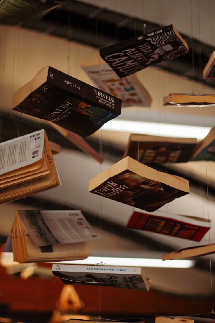 Photo Of A Hanging Books