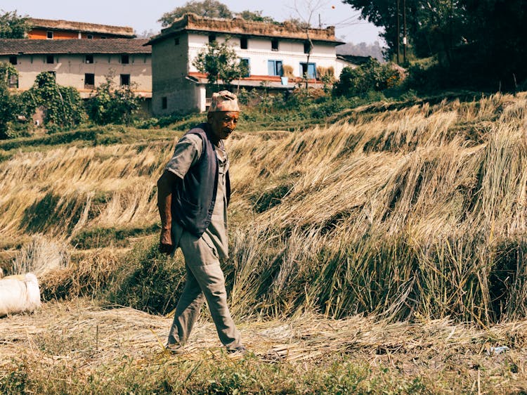 Elderly Man Walking On The Farm