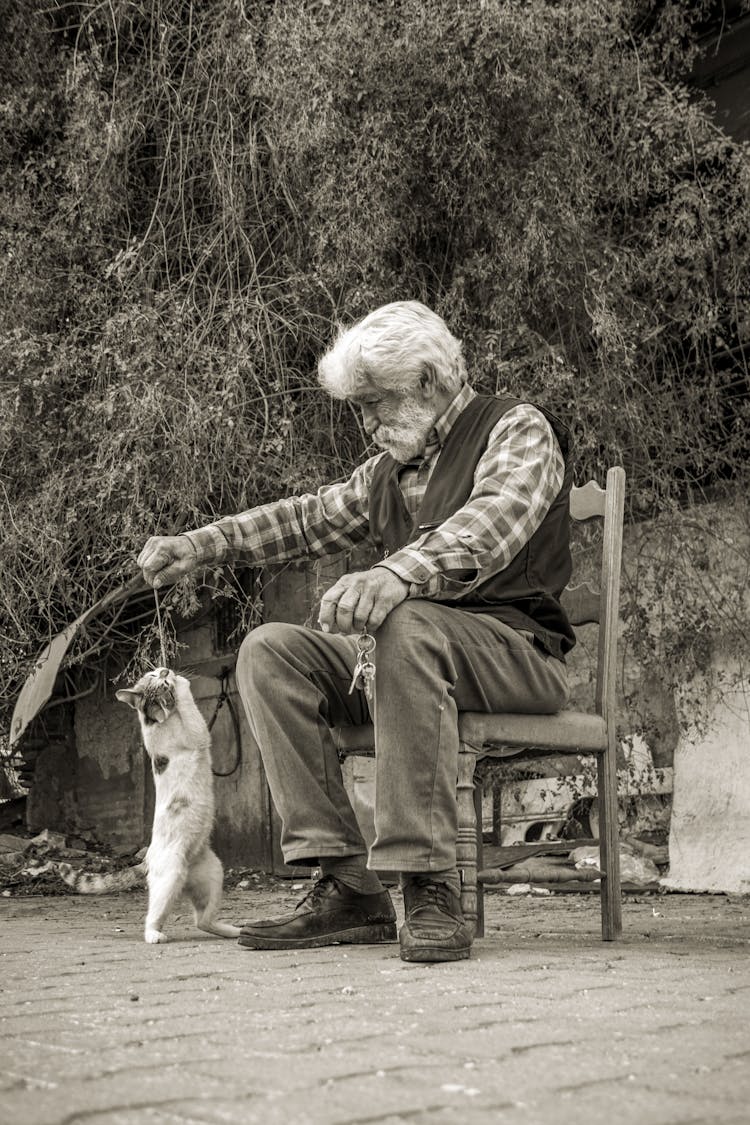 Elderly Man Playing With A Cat