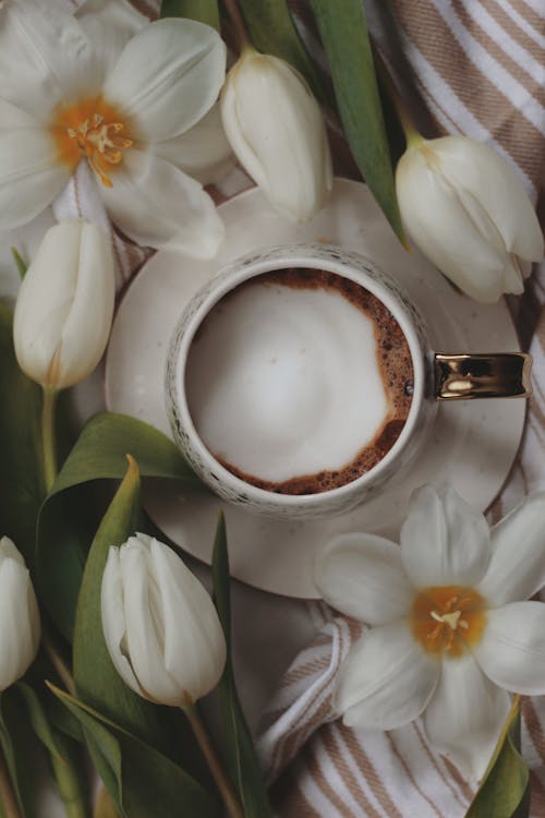 Free High Angle Shot of a Cup of Coffee and Flowers Stock Photo
