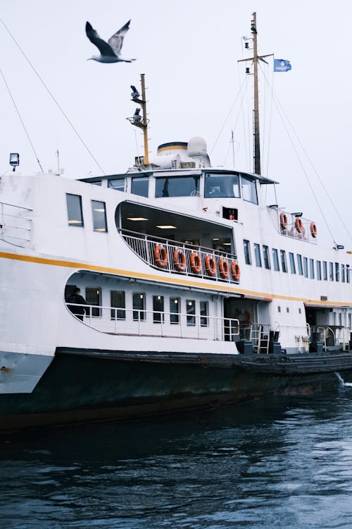 Free Cruise Ship in Water Stock Photo