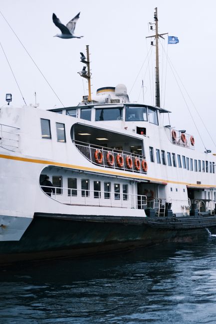 Ferry cruising the Bosphorus in Istanbul with seagulls flying overhead, showcasing maritime transport.