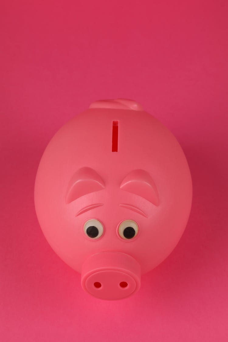 A Pink Piggy Bank