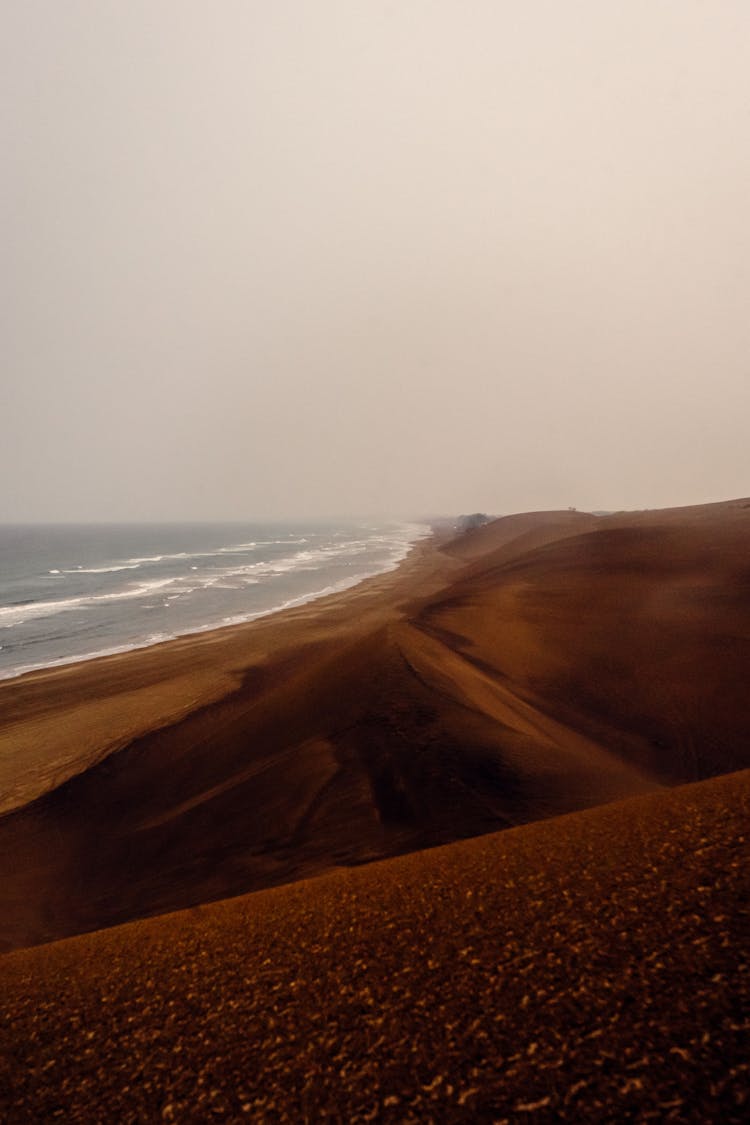 Sand Dunes On A Beach