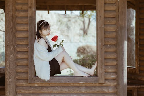 Free Woman Sitting on Window While Holding a Flower Stock Photo