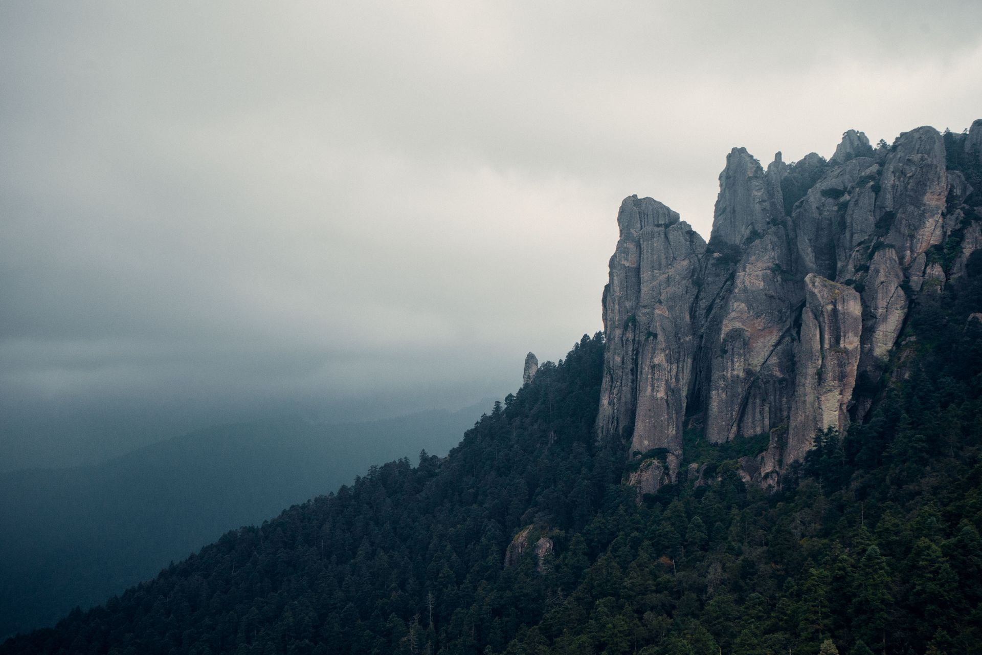 Vista de picos rocosos y bosque en Mineral del Chico, México